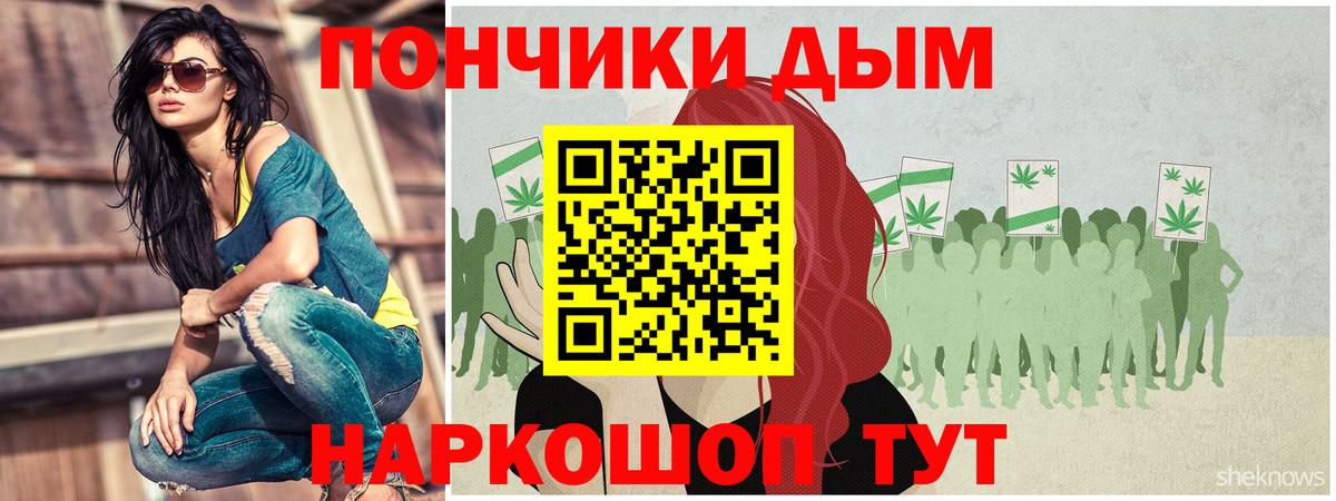 Бошки марихуана сатива  Вход с VPN  Марихуана план  Марихуана ГИДРОПОН  Канабис план  Михайловск 